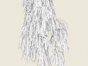 game ready willow tree 04 Modèle 3D