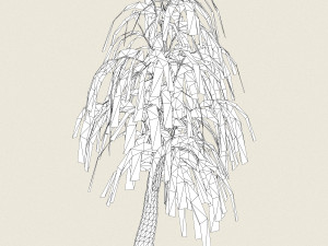 game ready willow tree 05 3D 모델
