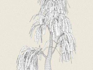 game ready willow tree 06 3D Model