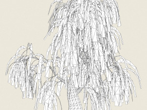 game ready willow tree 07 3D 模型