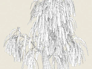 game ready willow tree 07 3D Model