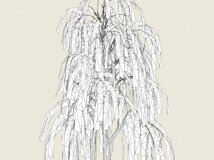game ready willow tree 08 3D Model