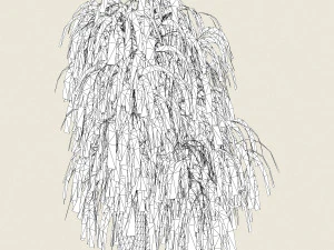 game ready willow tree 10 3D Model