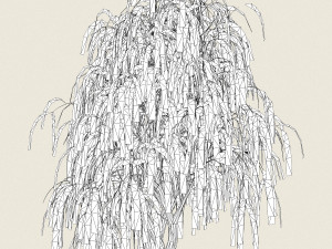 game ready willow tree 11 Modèle 3D