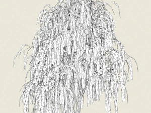 game ready willow tree 11 3D Model