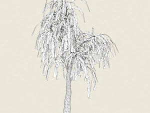 game ready willow tree 12 3D Model