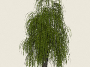 willow tree collection 3D-Modell