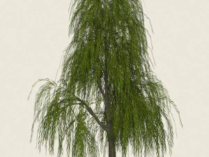 willow tree collection 3D Model