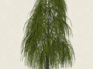 willow tree collection 3D Model