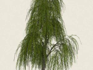 willow tree collection 3D Model