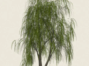 willow tree collection 3D Model