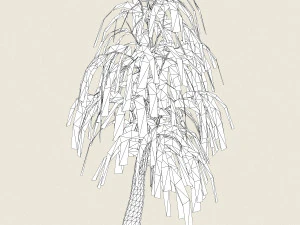 willow tree collection 3D Model