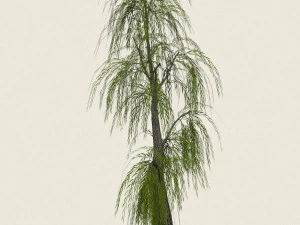 willow tree collection 3D Model