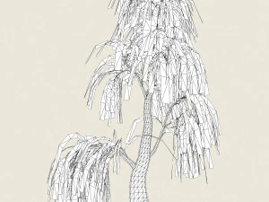 willow tree collection 3D Model