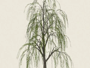 willow tree collection 3D Model