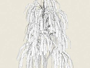 willow tree collection 3D Model