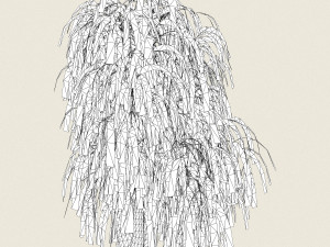 willow tree collection 3D-Modell