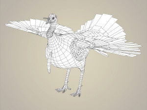realistic turkey bird 3D Model