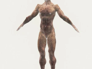 realistic male alien 04 3D Model