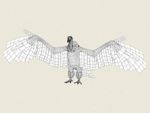 low poly realistic vulture Model 3D