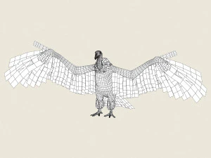 low poly realistic vulture 3D Model