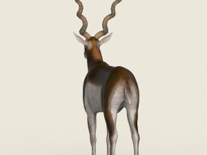 low poly realistic antelope 3D Model
