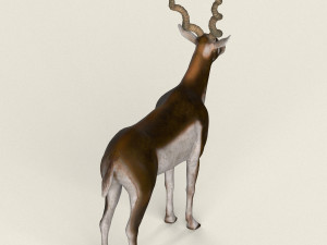 low poly realistic antelope 3D Model