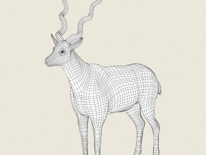low poly realistic antelope 3D Model