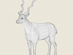 low poly realistic antelope 3D Model