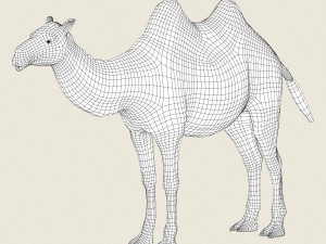 low poly realistic camel 3D-Modell