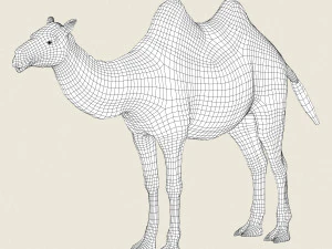 low poly realistic camel 3D Model