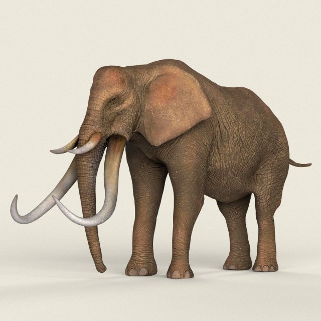 low poly realistic elephant 3D Модель .c4d .max .obj .3ds .fbx .stl .blend 