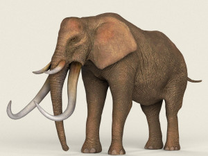 low poly realistic elephant 3D Model