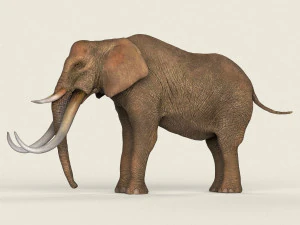 low poly realistic elephant 3D Model