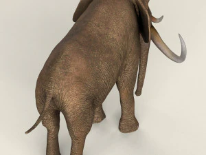 low poly realistic elephant 3D Model
