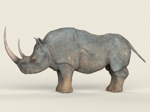 low poly realistic rhino Modelo 3D