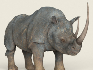 low poly realistic rhino Modelo 3D