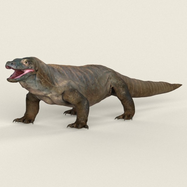 low poly realistic komodo dragon Modelo 3D .c4d .max .obj .3ds .fbx .stl .blend 