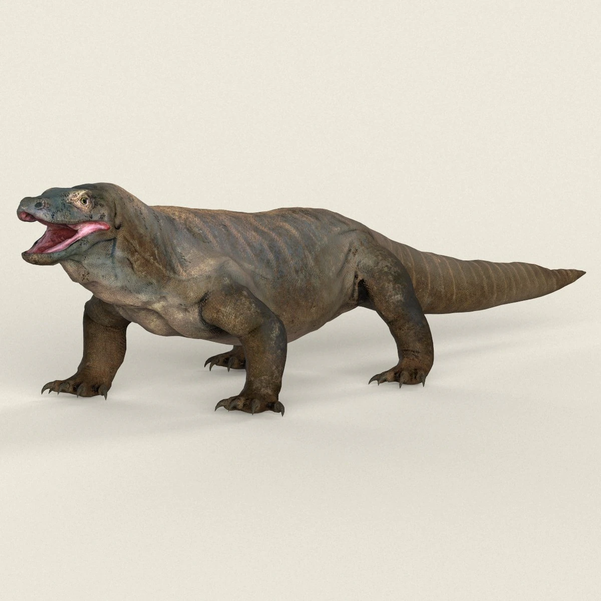 low poly realistic komodo dragon 3D Model .c4d .max .obj .3ds .fbx .stl .blend 