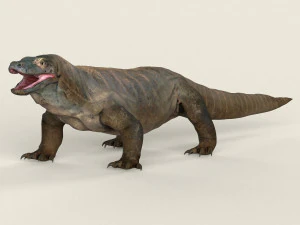 low poly realistic komodo dragon 3D Model