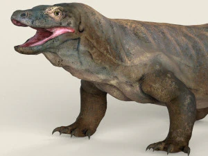 low poly realistic komodo dragon 3D Model