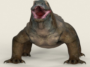 low poly realistic komodo dragon Modelo 3D