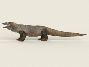 low poly realistic komodo dragon Modelo 3D