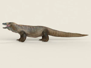 low poly realistic komodo dragon 3D Model