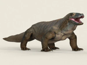 low poly realistic komodo dragon 3D Model