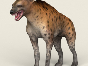 low poly realistic hyena 3D Model