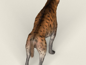 low poly realistic hyena 3D Model