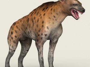 low poly realistic hyena 3D Model
