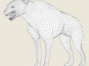 low poly realistic hyena 3D Model