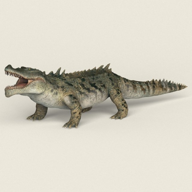 low poly realistic crocodile 3D Model .c4d .max .obj .3ds .fbx .stl .blend 